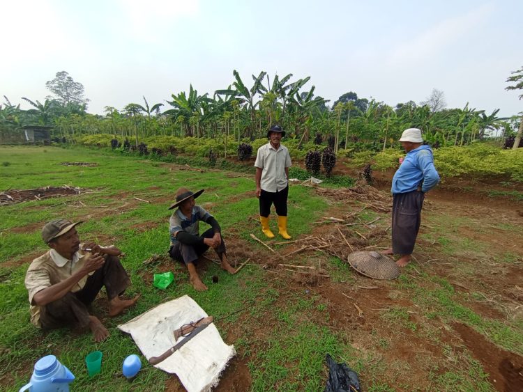 Irigasi Palayangan Rusak Sejak 2022, Petani di Ciherang Pondok Bogor Alami Krisis Air Berkepanjangan