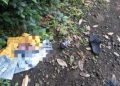 Warga Cigombong Bogor Digegerkan Penemuan Bayi Hidup di Pinggir Jalan