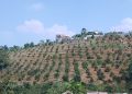 Petani Penggarap di Cigombong Nyatakan Sikap Tegas Kawal Pengukuran Lahan oleh BPN