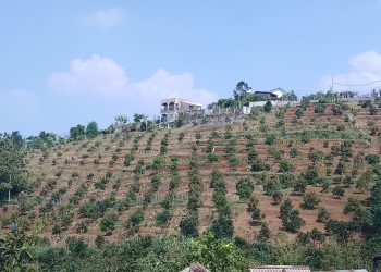 Petani Penggarap di Cigombong Nyatakan Sikap Tegas Kawal Pengukuran Lahan oleh BPN
