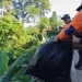 kawasan Riung Gunung