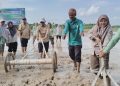 Tanam Serempak di Jambi Makin Modern, Polbangtan Kementan Dorong PM-AAS dan Inovasi Drum Seeder