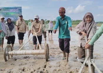 Tanam Serempak di Jambi Makin Modern, Polbangtan Kementan Dorong PM-AAS dan Inovasi Drum Seeder