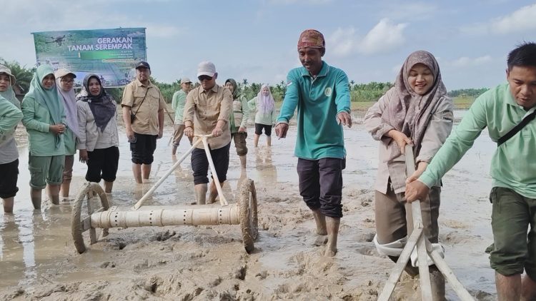 Tanam Serempak di Jambi Makin Modern, Polbangtan Kementan Dorong PM-AAS dan Inovasi Drum Seeder