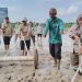 Tanam Serempak di Jambi Makin Modern, Polbangtan Kementan Dorong PM-AAS dan Inovasi Drum Seeder