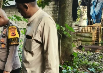 pria asal Jakarta Timu
