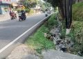 drainase