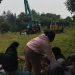 Bentrokan Lahan di Sukajaya Bogor: 16 Warga Luka, Alat Berat Diduga Terobos Kebun Petani