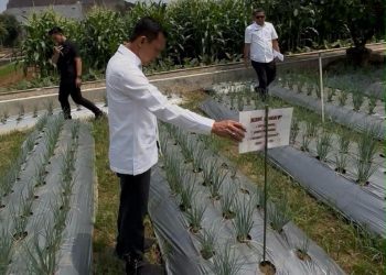 Atasi Dampak Kemarau, Jaro Ade Minta Dinas Berkolaborasi dengan TNI-Polri