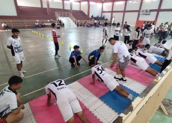 Komite Olahraga Nasional Indonesia