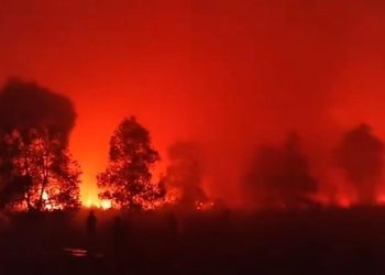 Taman Nasional Way Kambas