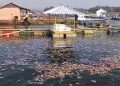 Waduk Cirata