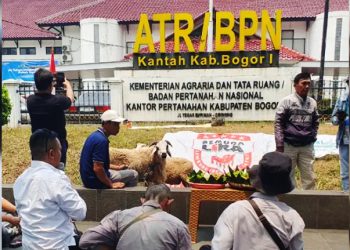 BPN