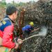 Kebakaran TPAS Galuga Berhasil Dinetralisir, Pemkot Lakukan Pantauan Geothermal
