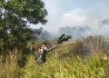 Kebakaran Lahan Kosong di Palasari Nyaris Merembet, Damkar dan Warga Bergerak Cepat