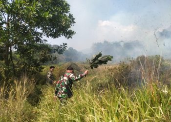 Kebakaran Lahan Kosong di Palasari Nyaris Merembet, Damkar dan Warga Bergerak Cepat