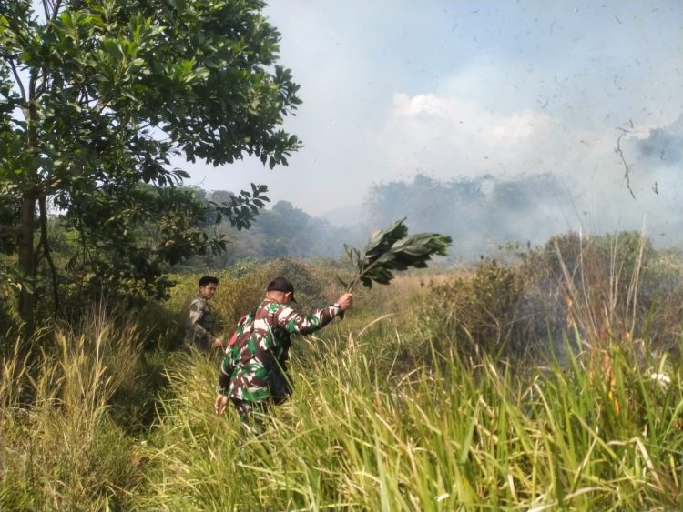 Kebakaran Lahan Kosong di Palasari Nyaris Merembet, Damkar dan Warga Bergerak Cepat