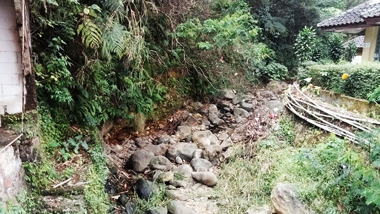 kemarau