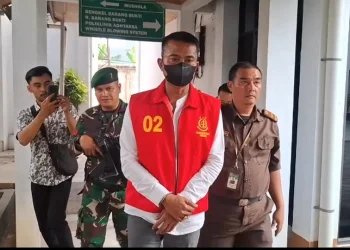 Kepala Desa Parigimulya
