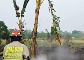 Kebakaran