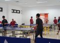 National Paralympic Committee Indonesia