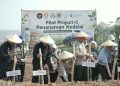 budidaya kedelai