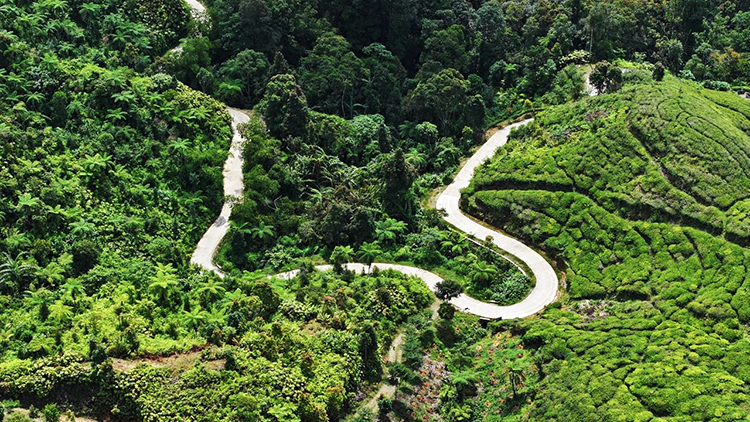 taman safari