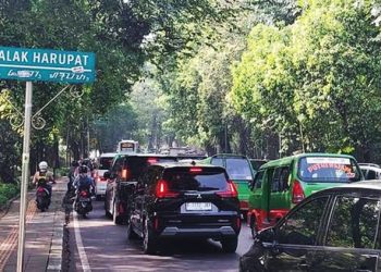 Car Free Day
