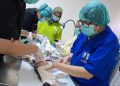 World Rabies Day, Polbangtan Kementan Ajak Masyarakat Peduli Kesehatan dan Populasi Hewan