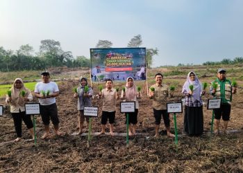 Dukung Swasembada Pangan Nasional, Polbangtan Kementan Gerakan Tanam Bersama di Batanghari