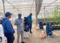 IFAD Kunjungi Polbangtan, Tinjau Keberhasilan YESS dan Penjajakan Program YESSI