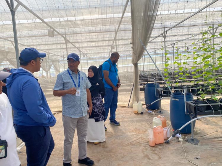 IFAD Kunjungi Polbangtan, Tinjau Keberhasilan YESS dan Penjajakan Program YESSI
