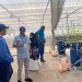 IFAD Kunjungi Polbangtan, Tinjau Keberhasilan YESS dan Penjajakan Program YESSI