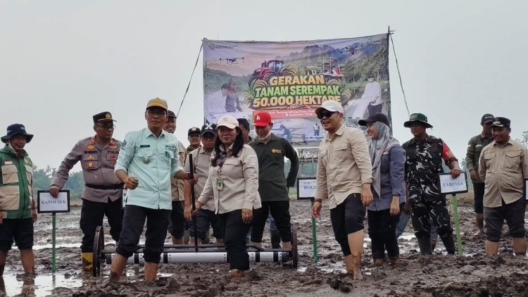 Pastikan Gertam Serentak Berjalan Lancar, Direktur Polbangtan Kementan Cek Kesiapan Lahan dan Teknologi di Jambi