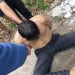 pistol mainan