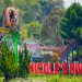 Nicole’s River Park, Destinasi Wisata Keluarga Terpadu di Puncak Bogor