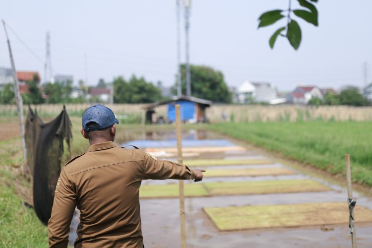 Jenal Mutaqin Tegaskan Pentingnya Menjaga Lahan Abadi Persawahan di Kota Bogor
