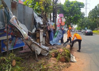 Pohon Lengkeng Tumbang Timpa Warung di Pandu Raya Bogor
