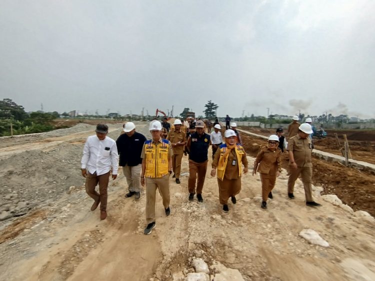 Dedie Rachim Cek Langsung Progres Kawasan Pemerintahan Baru Katulampa