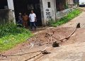 Jalur alternatif Puncak
