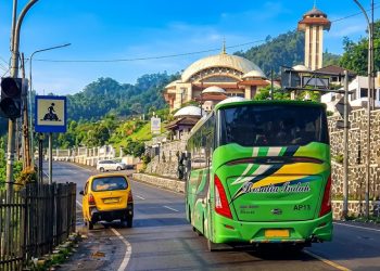 bus wisata