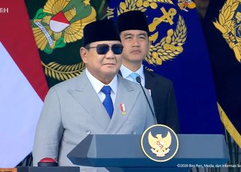 kepuasan publik