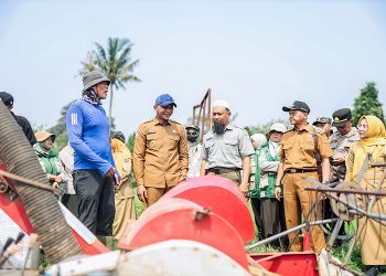 Lahan sawah di Kota Bogor kian terbatas