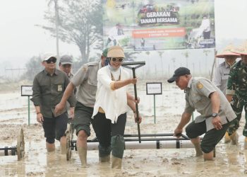 Gerakan Tanam Sukses Gerakkan Sektor Pertanian Modern