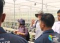 Evaluasi K-Smart Farm, Polbangtan Kementan Perkuat Keberlanjutan Smart Farming Indonesia