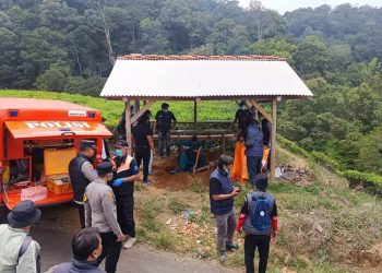 pengemudi taksi online