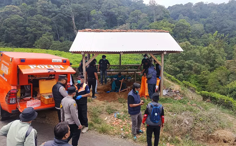 pengemudi taksi online