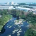 Sungai Cileungsi